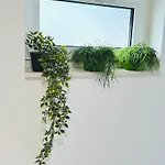 빌라 Flora