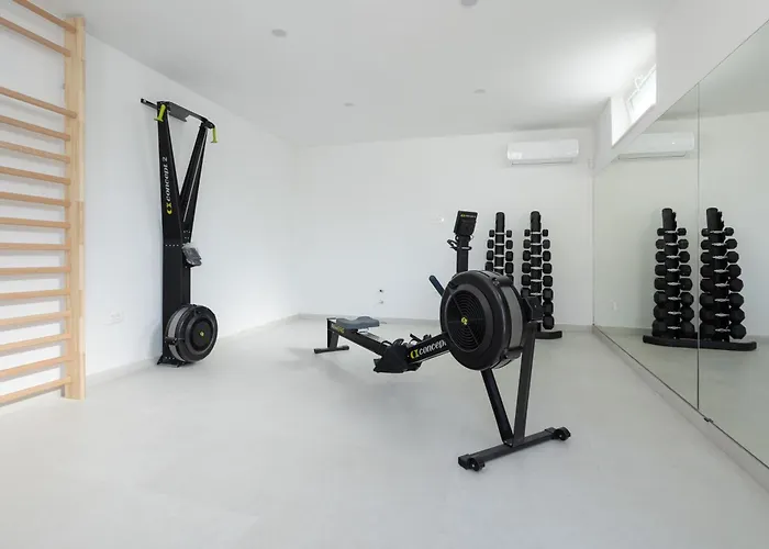 Villa Flora Srinjine